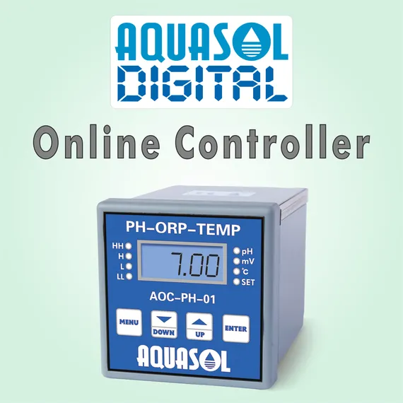 Online Monitoring and Control
